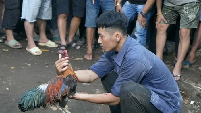 ‘Con trai’ Hoài Linh làm giàu nhờ đá gà, nhảy sông để trốn chủ nợ trong phim mới