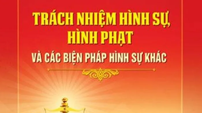 Trách nhiệm hình sự, hình phạt và các biện pháp hình sự khác