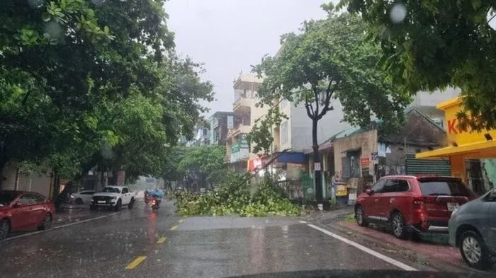 Bão Prapiroon suy yếu thành áp thấp nhiệt đới